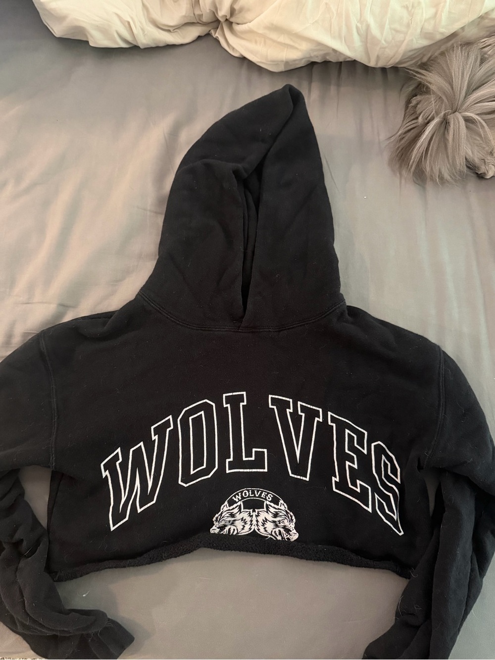 Darc Sport Cropped Hoodie